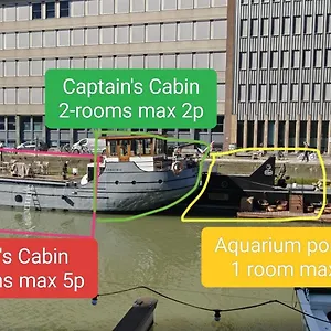 De Coaster Rotterdam